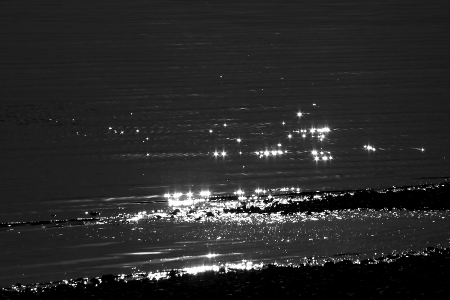 2013 04 06 IMG 02634ebw
